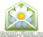 Логотип компании Доставка цветов Гранд Флора (ф-л г. Шатура)